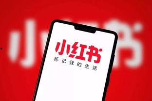 小红书网红嫁老外,小红书网红嫁老外的甜蜜旅程