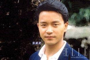 中国明星同志,中国明星同志群体的故事与心声