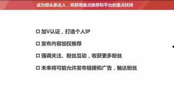 怎样将头条文章分类,基于头条文章分类的智能副标题生成策略