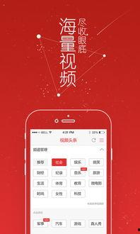 怎么看岳阳头条视频,聚焦热点，洞察民生