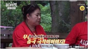中国明星被盗后续事件,真相揭秘与法律追责之路