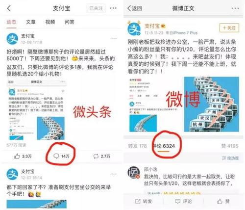 文章和微头条展现时间,文章与微头条展现时间的奥秘