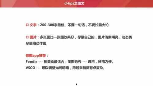 头条评论如何添加字,字数背后的故事与启示
