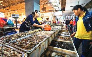 头条卖海鲜的哪个好卖,盘点头条爆款海鲜，哪个最受欢迎？