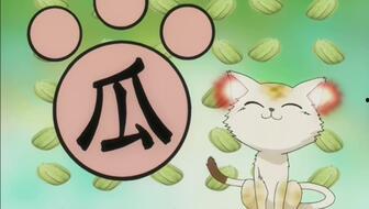 m老师的瓜,一场关于瓜的传奇故事