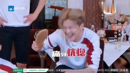 白鹿郑恺最新爆料,揭秘幕后故事与精彩瞬间