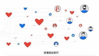 头条阅读量能看到吗,洞察热门文章背后的秘密