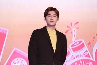 山东明星代言公司,引领品牌新风尚的璀璨星力