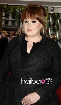 明星和阿呆,明星风采与阿呆的趣味碰撞