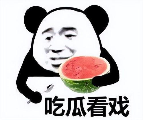 瓜哥吃瓜做题,揭秘娱乐圈背后的那些事儿