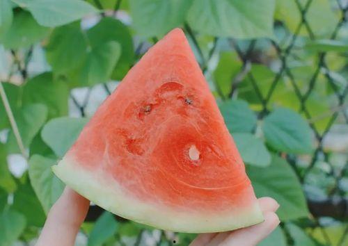 吃长方瓜升血糖么,升糖还是安全食用？