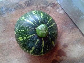 嫩瓜软了可以吃吗