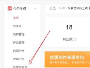 头条小店怎么看收益明细,揭秘盈利奥秘