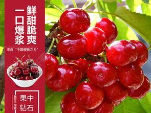 头条哪里有卖樱桃的药,哪里购买樱桃种植药物全攻略