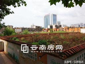 新问头条 昆明翠湖,春城明珠，自然与人文的完美融合