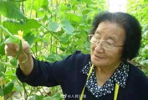 娱乐吃瓜酱连自己人也坑,坑人无数，连自己人也坑的“瓜王”传奇
